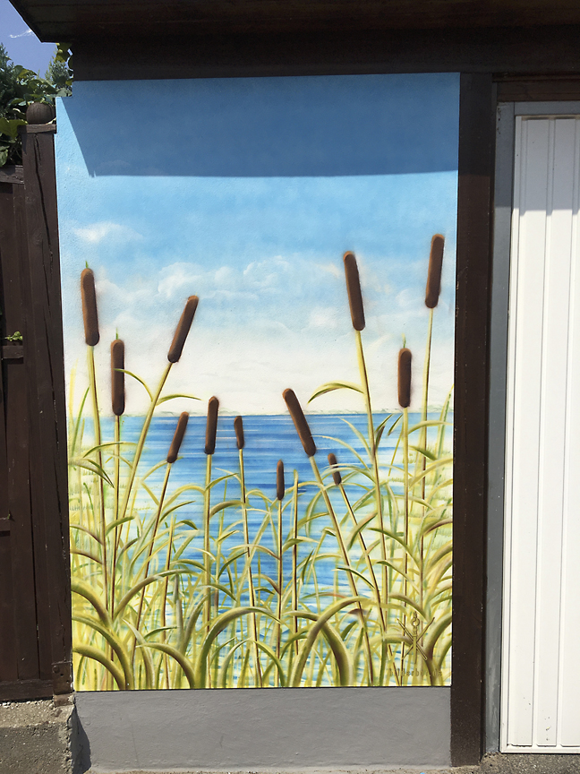 2108_schilfgras_rgb_H1200px